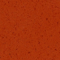 1238.jpg